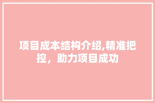 项目成本结构介绍,精准把控，助力项目成功