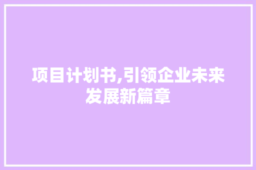 项目计划书,引领企业未来发展新篇章 汉字拼音