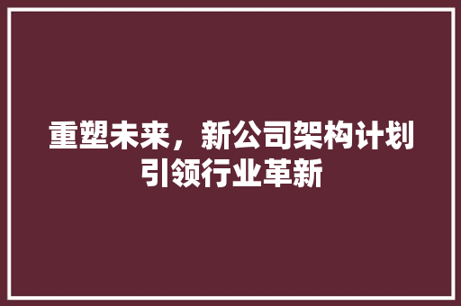重塑未来，新公司架构计划引领行业革新