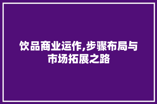 饮品商业运作,步骤布局与市场拓展之路