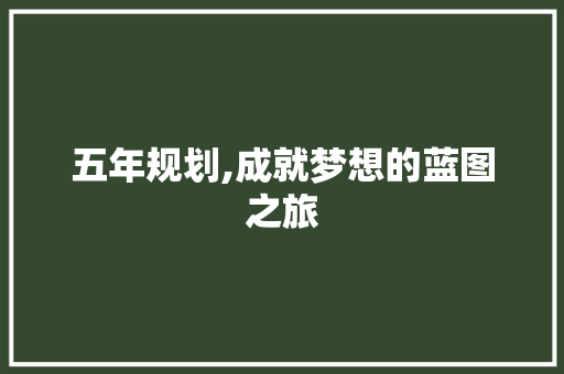 五年规划,成就梦想的蓝图之旅