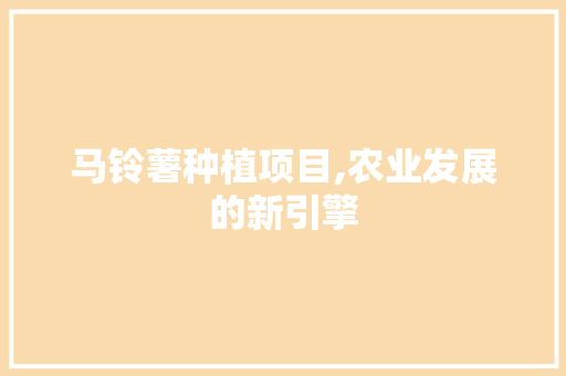 马铃薯种植项目,农业发展的新引擎