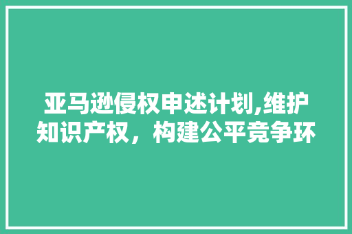 亚马逊侵权申述计划,维护知识产权，构建公平竞争环境