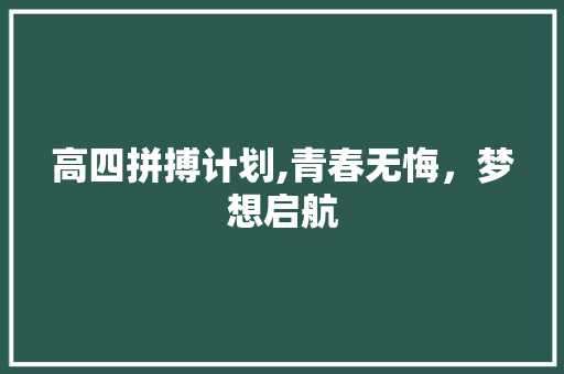 高四拼搏计划,青春无悔，梦想启航