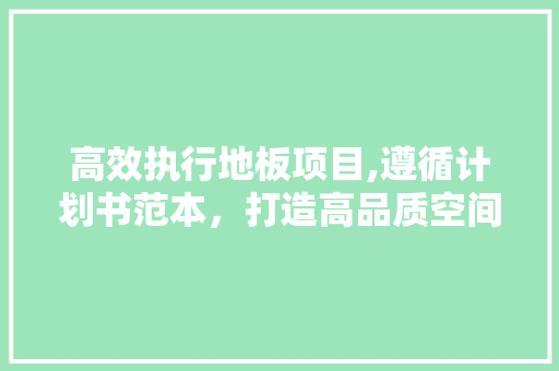 高效执行地板项目,遵循计划书范本，打造高品质空间 汉字拼音