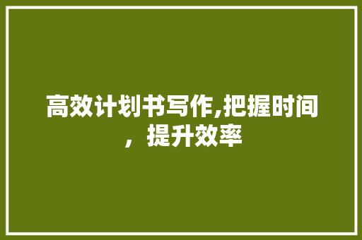 高效计划书写作,把握时间，提升效率