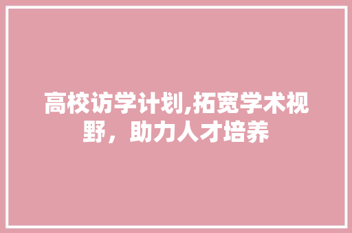 高校访学计划,拓宽学术视野，助力人才培养