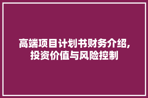 高端项目计划书财务介绍,投资价值与风险控制