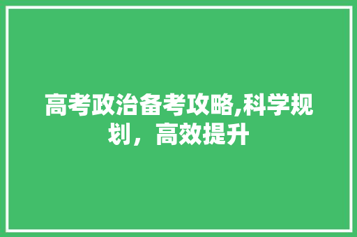 高考政治备考攻略,科学规划，高效提升