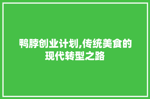 鸭脖创业计划,传统美食的现代转型之路