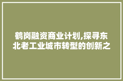 鹤岗融资商业计划,探寻东北老工业城市转型的创新之路