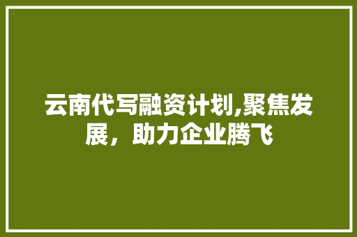 云南代写融资计划,聚焦发展，助力企业腾飞