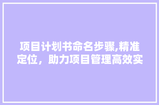 项目计划书命名步骤,精准定位，助力项目管理高效实施 短语