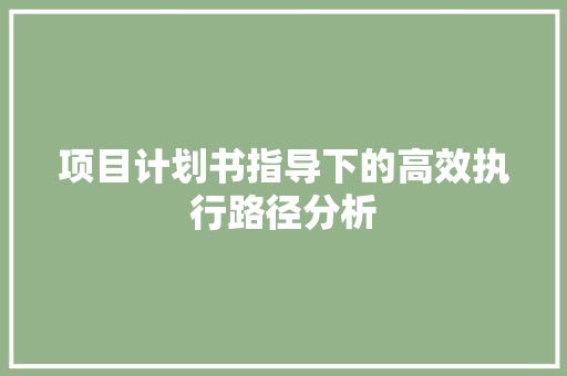 项目计划书指导下的高效执行路径分析 英语单词