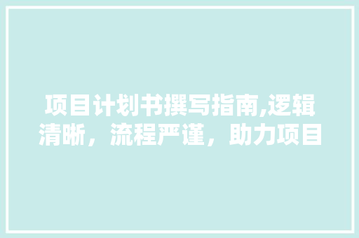 项目计划书撰写指南,逻辑清晰，流程严谨，助力项目成功 汉字拼音