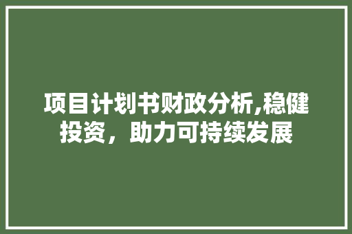 项目计划书财政分析,稳健投资，助力可持续发展