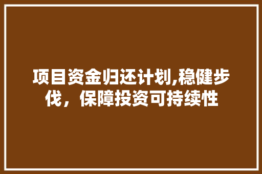 项目资金归还计划,稳健步伐，保障投资可持续性