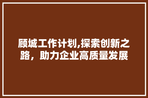 顾城工作计划,探索创新之路，助力企业高质量发展