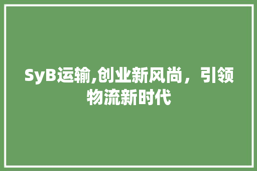 SyB运输,创业新风尚，引领物流新时代
