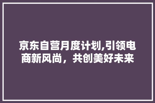 京东自营月度计划,引领电商新风尚，共创美好未来