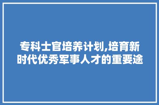专科士官培养计划,培育新时代优秀军事人才的重要途径