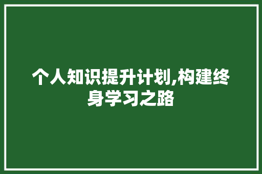 个人知识提升计划,构建终身学习之路