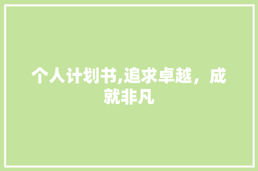 个人计划书,追求卓越，成就非凡