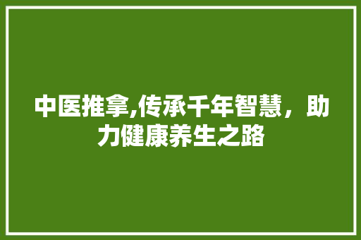 中医推拿,传承千年智慧，助力健康养生之路