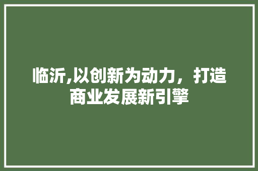 临沂,以创新为动力，打造商业发展新引擎