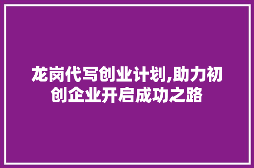 龙岗代写创业计划,助力初创企业开启成功之路