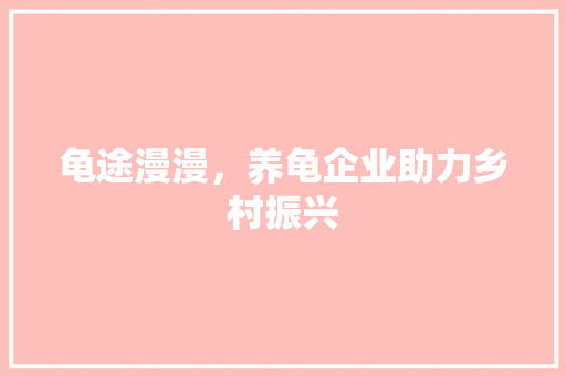 龟途漫漫，养龟企业助力乡村振兴 英语单词