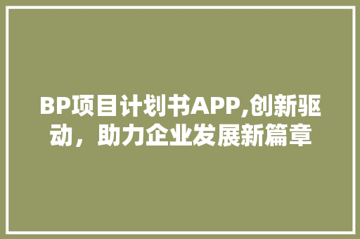 BP项目计划书APP,创新驱动，助力企业发展新篇章