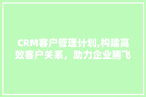 CRM客户管理计划,构建高效客户关系，助力企业腾飞
