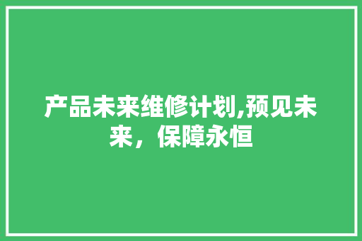 产品未来维修计划,预见未来，保障永恒