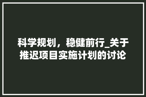 科学规划，稳健前行_关于推迟项目实施计划的讨论