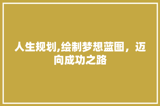 人生规划,绘制梦想蓝图，迈向成功之路
