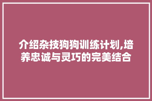 介绍杂技狗狗训练计划,培养忠诚与灵巧的完美结合