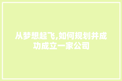 从梦想起飞,如何规划并成功成立一家公司
