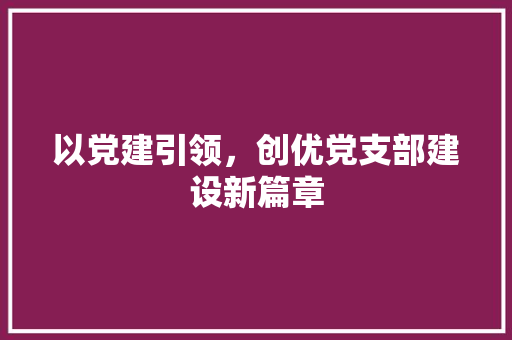 以党建引领，创优党支部建设新篇章