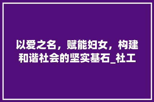 以爱之名，赋能妇女，构建和谐社会的坚实基石_社工妇女领域计划讨论