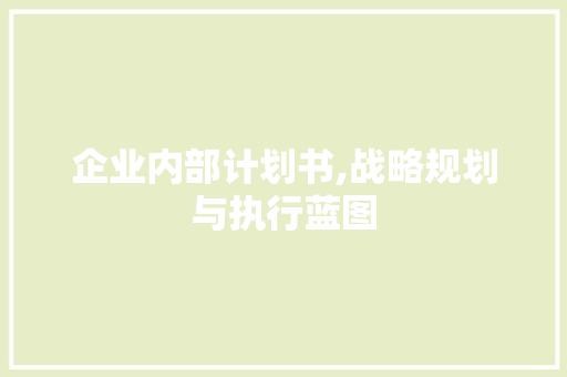 企业内部计划书,战略规划与执行蓝图