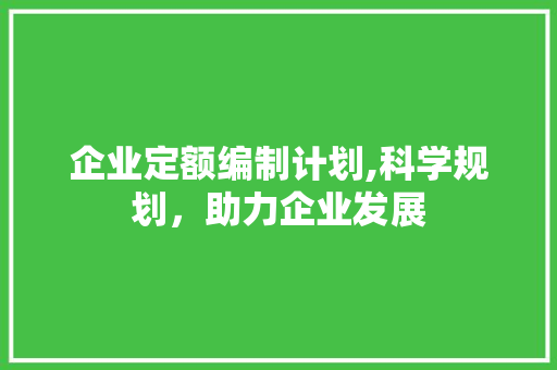 企业定额编制计划,科学规划，助力企业发展