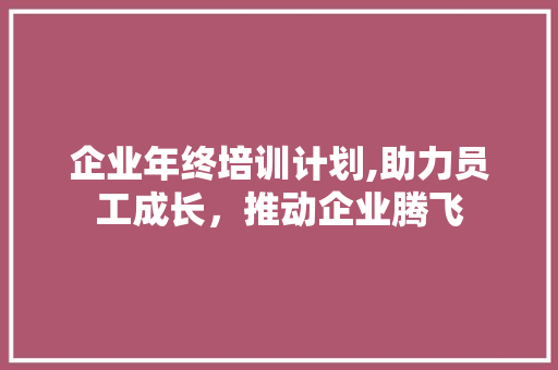 企业年终培训计划,助力员工成长，推动企业腾飞