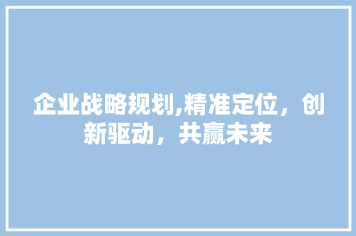 企业战略规划,精准定位，创新驱动，共赢未来
