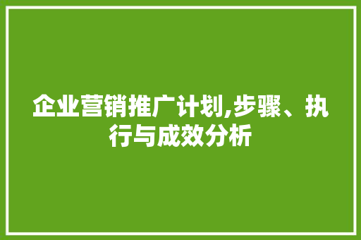 企业营销推广计划,步骤、执行与成效分析