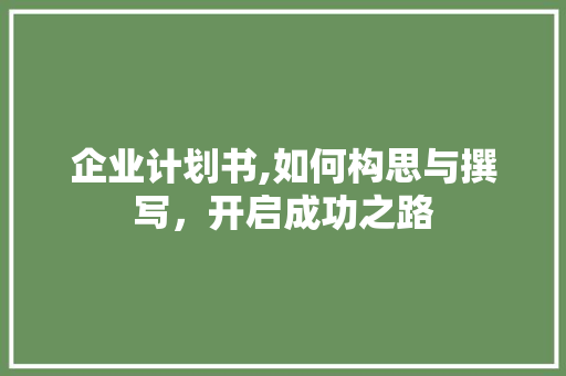 企业计划书,如何构思与撰写，开启成功之路