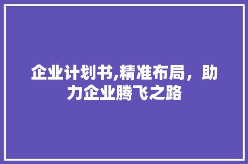 企业计划书,精准布局，助力企业腾飞之路