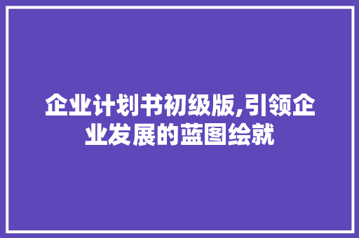 企业计划书初级版,引领企业发展的蓝图绘就