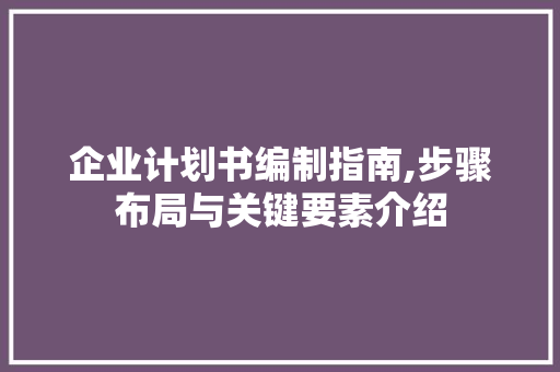 企业计划书编制指南,步骤布局与关键要素介绍
