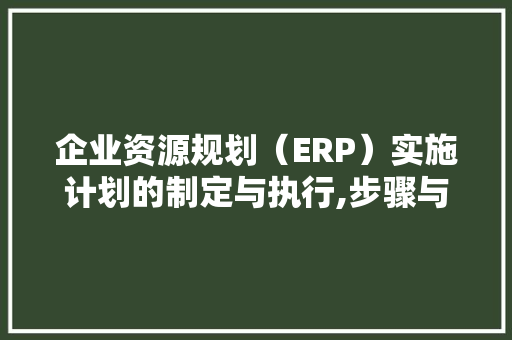 企业资源规划（ERP）实施计划的制定与执行,步骤与步骤